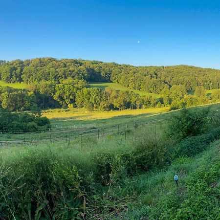 Bauernhof Fuer Naturliebhaber Bucha  Kültér fotó