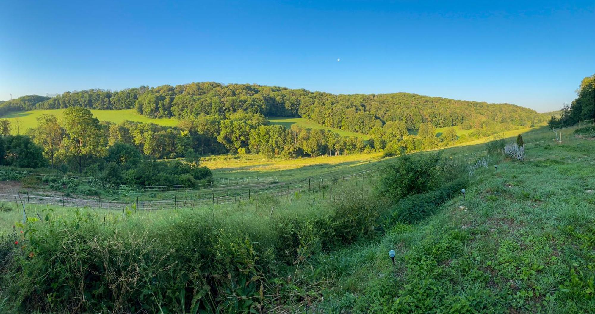 Bauernhof Fuer Naturliebhaber Bucha  Kültér fotó